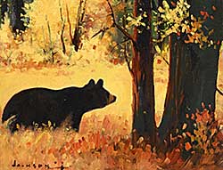 #2158 ~ Jackson - Fall Black Bear, Route II Alta #2158 ~ Jackson - Fall Black Bear, Route II Alta