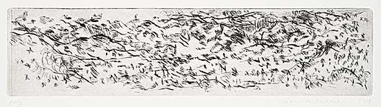 #1366 ~ Kipling - Untitled - Terrain #AP2 #1366 ~ Kipling - Untitled - Terrain #AP2