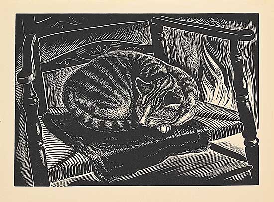 #1385 ~ McEntee - Tabby #1385 ~ McEntee - Tabby