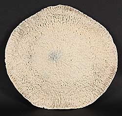 #1247 ~ School - Untitled - Whale Bone Disc