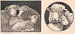 #1312 ~ Berman - Safe Journey Into Night #1/10 / Gentle Things #3/2 #1312 ~ Berman - Safe Journey Into Night #1/10 / Gentle Things #3/2