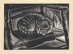 #1385 ~ McEntee - Tabby #1385 ~ McEntee - Tabby