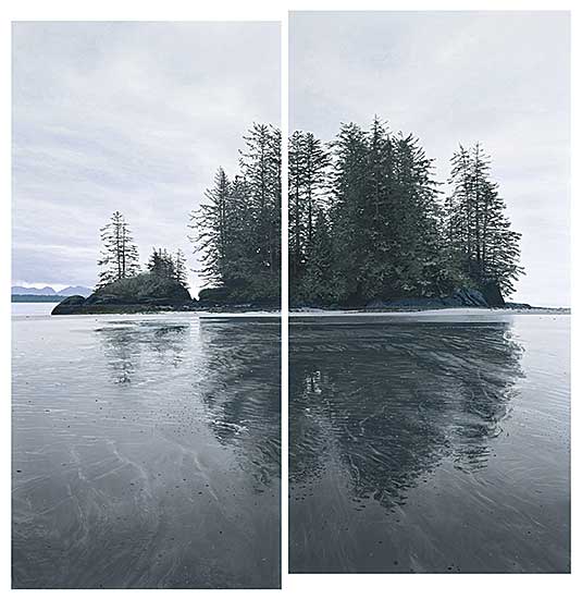 #15 ~ Birch - Reflected Trees, Wet Beach [Diptych]