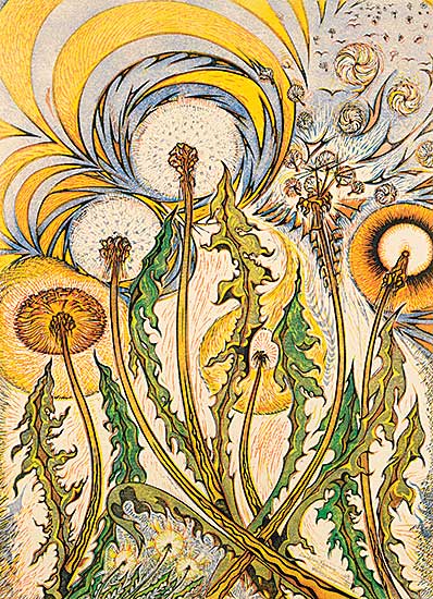 #32 ~ Calver - Dandelions Rejoicing #49/50 #32 ~ Calver - Dandelions Rejoicing #49/50