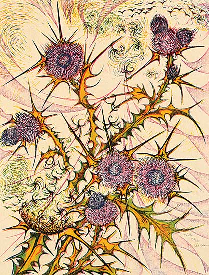 #33 ~ Calver - Thistle #32/60 #33 ~ Calver - Thistle #32/60