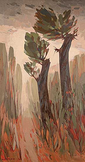 #99 ~ Lindoe - Old Tree #99 ~ Lindoe - Old Tree