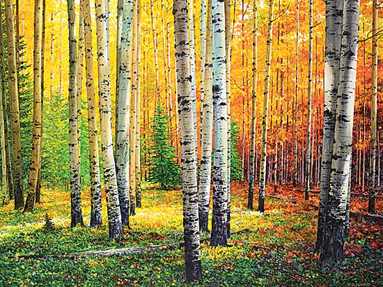 #154 ~ Thomson - Aspen Walk #154 ~ Thomson - Aspen Walk
