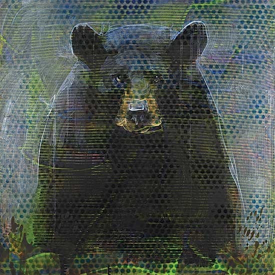 #263 ~ Thomas - Animal Painting #07-5551 [Black Bear]