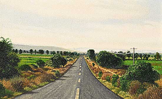 #451 ~ Hall - Driving South #90 [Guanajuato]
