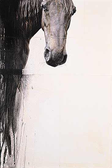 #491 ~ Petterson - Capote #491 ~ Petterson - Capote