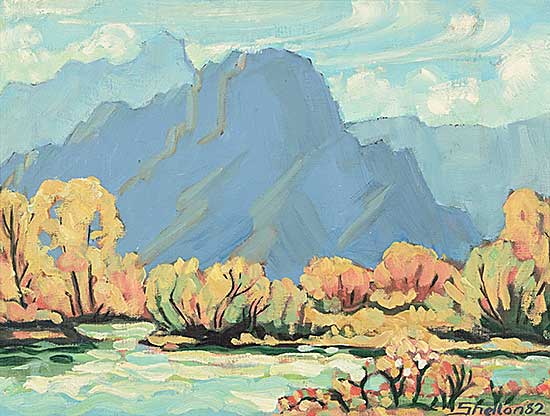 #503 ~ Shelton - Mount Bogart #503 ~ Shelton - Mount Bogart