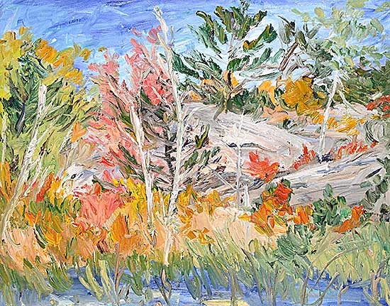 #509 ~ Steinhoff - Georgian Bay Shoreline with Birches #509 ~ Steinhoff - Georgian Bay Shoreline with Birches