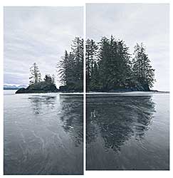 #15 ~ Birch - Reflected Trees, Wet Beach [Diptych]