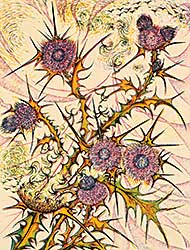 #33 ~ Calver - Thistle #32/60 #33 ~ Calver - Thistle #32/60