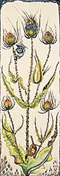 #34 ~ Calver - Teasel #10/15 #34 ~ Calver - Teasel #10/15