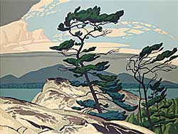 #40 ~ Casson - White Pine #40 ~ Casson - White Pine