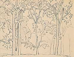#42 ~ Casson - Untitled - Trees #42 ~ Casson - Untitled - Trees