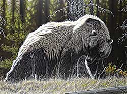 #56 ~ Fehr - Untitled - High Country Grizzly #56 ~ Fehr - Untitled - High Country Grizzly