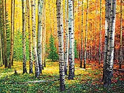 #154 ~ Thomson - Aspen Walk #154 ~ Thomson - Aspen Walk
