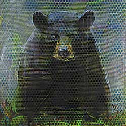 #263 ~ Thomas - Animal Painting #07-5551 [Black Bear]