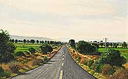 #451 ~ Hall - Driving South #90 [Guanajuato]