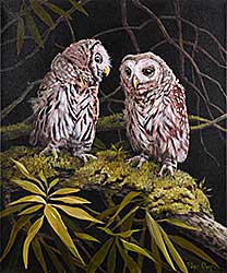 #485 ~ Ough - Young Barred Owls #485 ~ Ough - Young Barred Owls