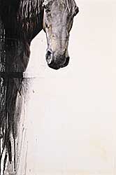 #491 ~ Petterson - Capote #491 ~ Petterson - Capote