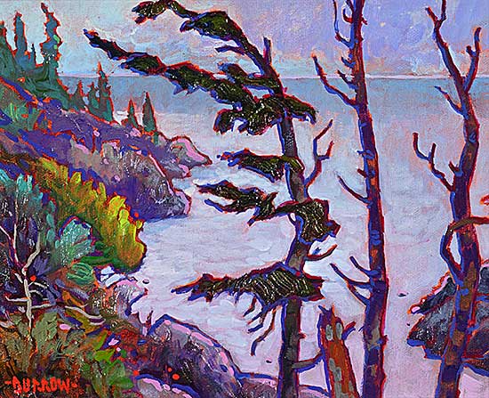 #2054 ~ Burrow - Tofino Shores