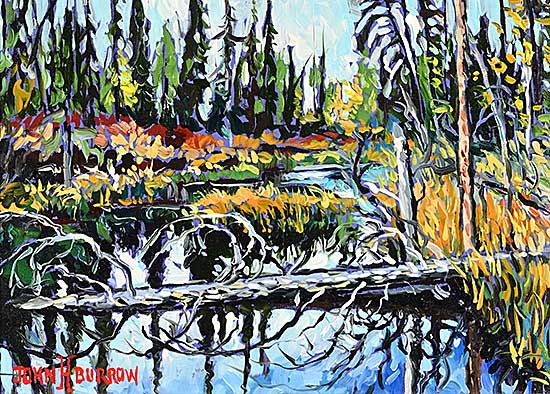 #2056 ~ Burrow - Beaver Creek