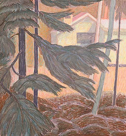 #2096 ~ Dean - Trees on Bowen Island