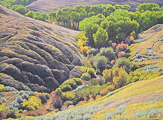 #2130 ~ Francis - Luxurious Contours