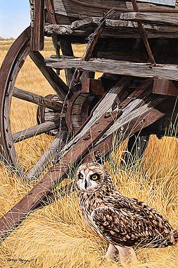 #2153 ~ Haley - The Surveyor