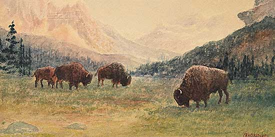 #2397 ~ Wilkinson - Buffalo - Banff, Alberta