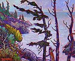 #2054 ~ Burrow - Tofino Shores