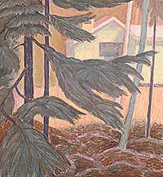 #2096 ~ Dean - Trees on Bowen Island