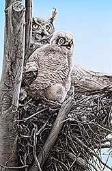 #2152 ~ Haley - And the Little One Said