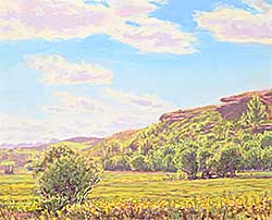 #2169 ~ Holmes - Big Valley, Near Cochrane, AB