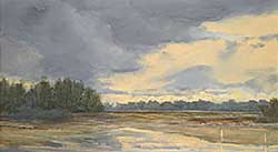 #2312 ~ Prince - Trees Near Olds 1988