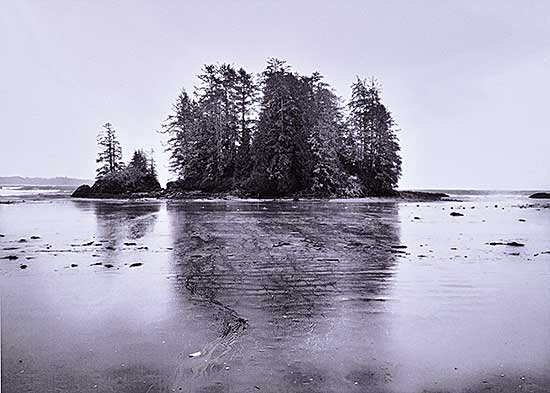 #1002 ~ Boyce - Schooners Beach