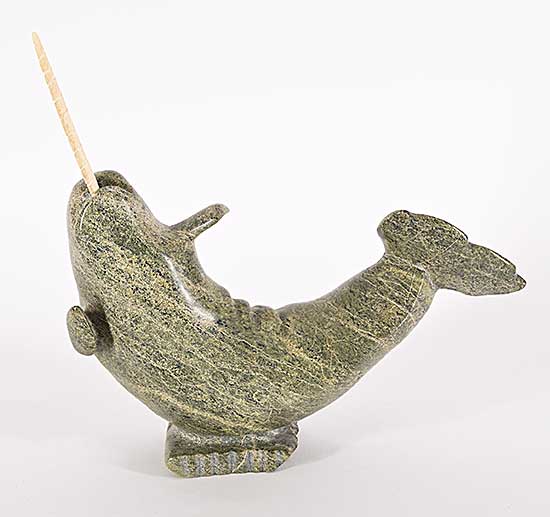 #1404 ~ School - Untitled - Swimming Narwhal