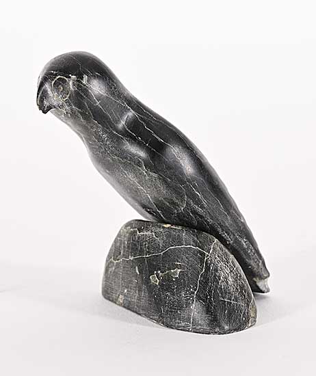 #1431 ~ School - Untitled - Perched Bird