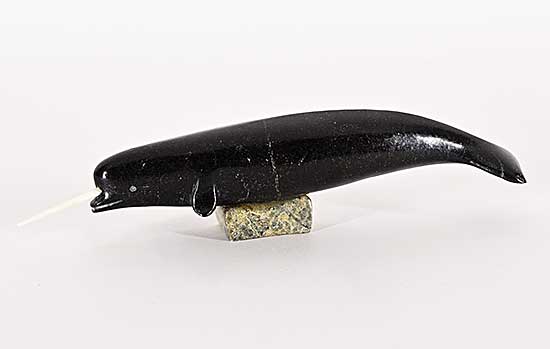 #1432 ~ School - Untitled - Narwhal