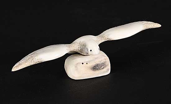 #1436 ~ School - Untitled - Gliding Bird