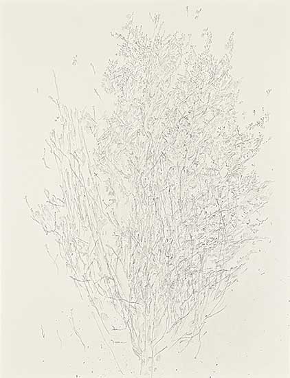 #1554 ~ Kipling - Untitled - Tree