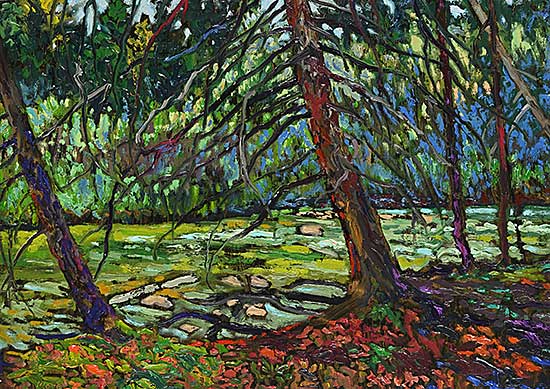 #1572 ~ More - September Stream - Prairie Creek