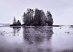 #1002 ~ Boyce - Schooners Beach