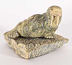 #1274 ~ Josephie - Untitled - Resting Walrus