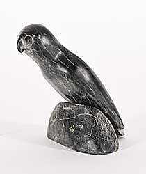 #1431 ~ School - Untitled - Perched Bird