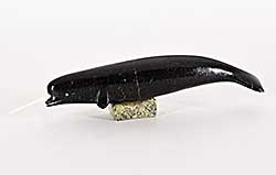 #1432 ~ School - Untitled - Narwhal