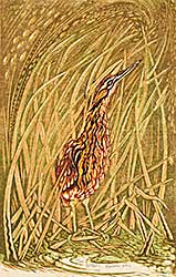 #1517 ~ Calver - Bittern  #17/50